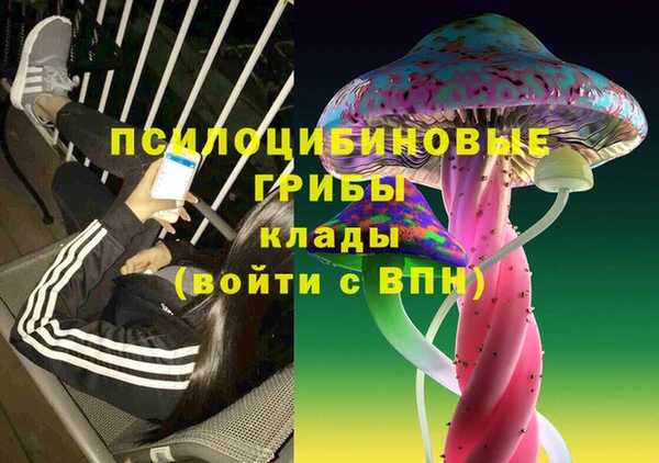 ПСИЛОЦИБИНОВЫЕ ГРИБЫ Балахна