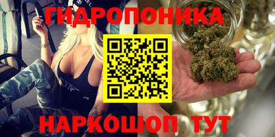 ГАЛЛЮЦИНОГЕННЫЕ ГРИБЫ Краснознаменск