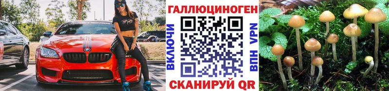 Галлюциногенные грибы Psilocybe  купить  цена  гидра ССЫЛКА  Кувандык 