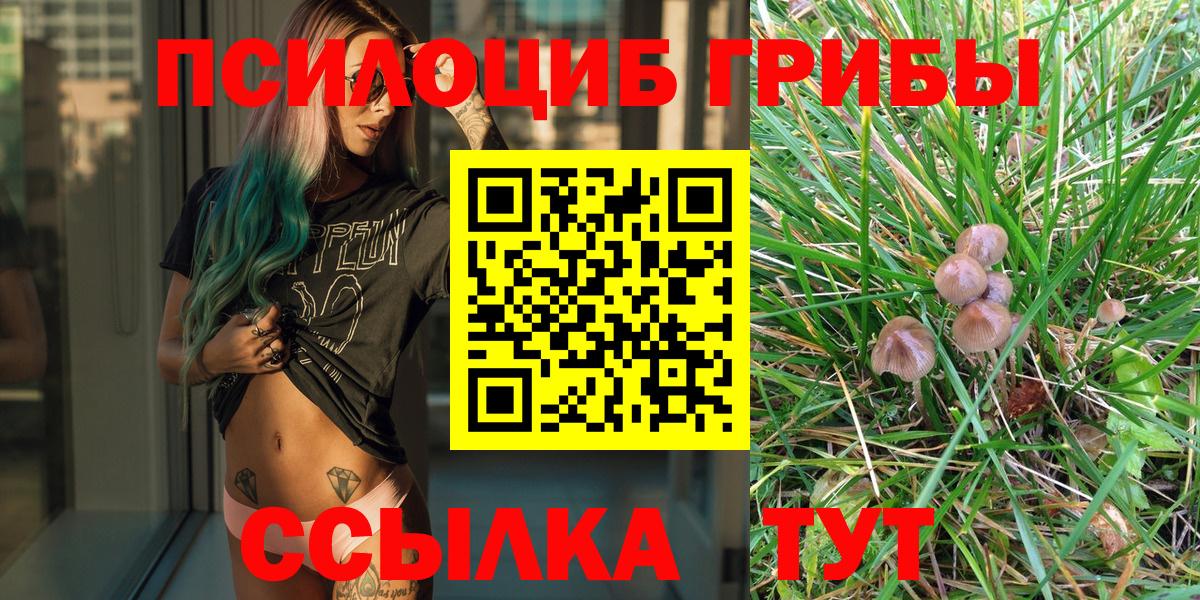 Псилоцибиновые грибы Psilocybine cubensis Кувандык