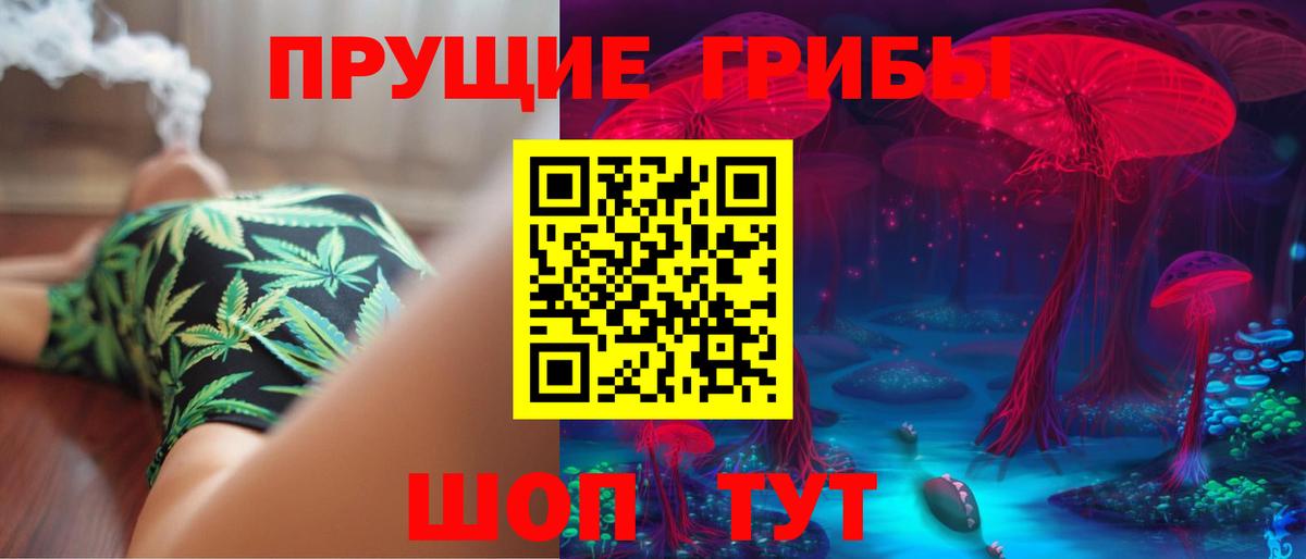 Кувандык  Галлюциногенные грибы Psilocybe  Псилоцибиновые грибы прущие грибы  Вход с VPN 